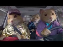 Kia Soul Hamsters Meme Template