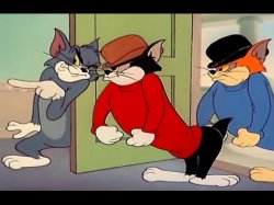 Tom &Jerry cats Meme Template
