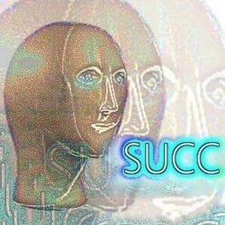 succ Meme Template