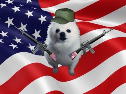 Gabe the merica Meme Template
