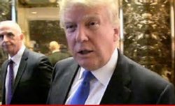 trump the cunt Meme Template