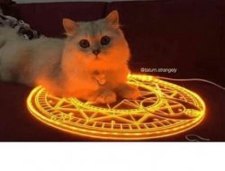 Satanic Ritual Cat, Bigger Meme Template