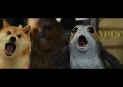 Last Jedi Doge Meme Template