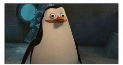 Stupid pinguin Meme Template