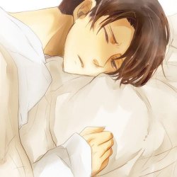 Levi sleeping Meme Template