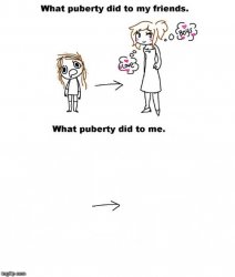 What puberty did to me  Meme Template