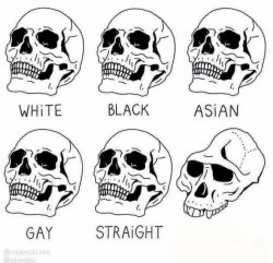 retarded caveman skulls Meme Template