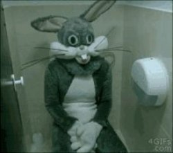 bathroom rabbit Meme Template