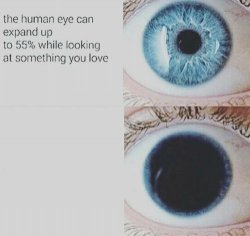 Eye pupil expand Meme Template