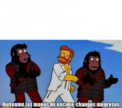 changos mugrosos Meme Template