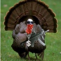 Gangsta turkey Meme Template