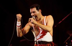 Freddie Mercury Meme Template