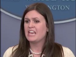 Sarah Sanders Meme Template