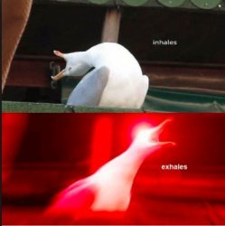 inhaling swan meme Meme Template