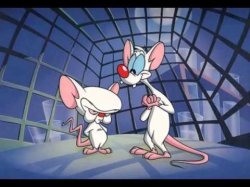 pinky and the brain Meme Template