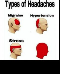 Types of Headaches meme Meme Template