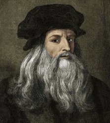 leo da vinci Meme Template