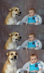 dog and baby Meme Template