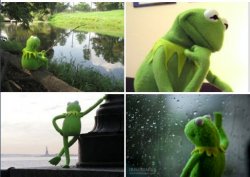 kermit 4 panel Meme Template