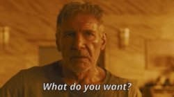 Blade Runner 2049 Harrison Ford Meme Template
