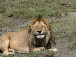 feels gooood Meme Template