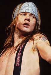 Axl Rose Meme Template