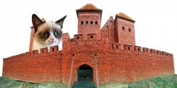 castle grumpy cat  Meme Template