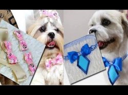 Lacinhos para pet dicas Meme Template