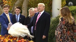 Trump pardons turkey Meme Template