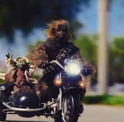 Chewbacca and Yoda Meme Template