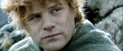 Samwise Gamgee - Lord of the Rings Meme Template