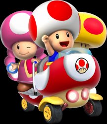 Toad and toadette Meme Template