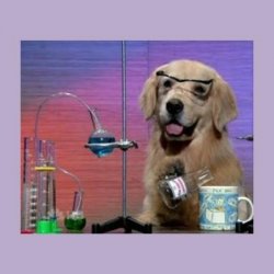 Dog Scientist Meme Template