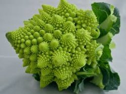 Mystic Broccoli Meme Template