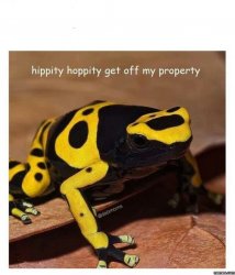 hippity hoppity Meme Template