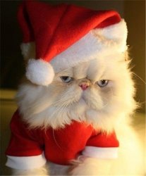 ho ho ho Meme Template