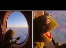 Kermit Plane Meme Template
