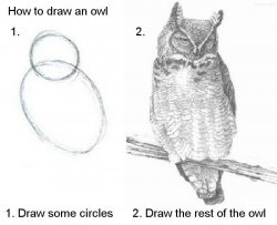 draw an owl Meme Template