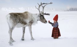 Ruby the reindeer Meme Template