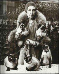1930s cat lady Meme Template