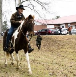 Roy Moore horse Meme Template