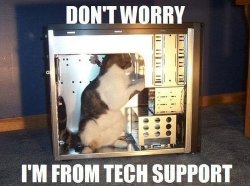 RayCat in Technical Support  Meme Template