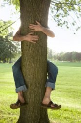 tree hugger Meme Template
