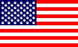 Marijuana leaf American flag Meme Template
