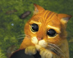 pussy on boots cute face Meme Template