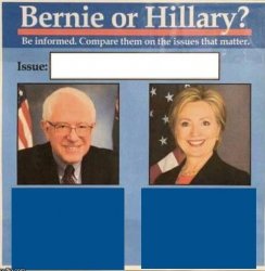 Bernie or Hillary on the Issues Meme Template