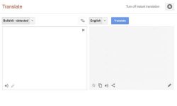 google translate Meme Template