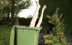 woman in a bin Meme Template