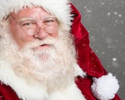 Ho ho Hodl Meme Template