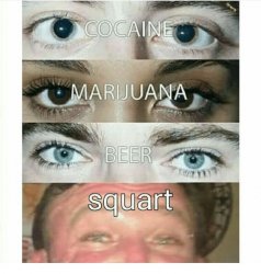 cocaine, beer, marijuana Meme Template